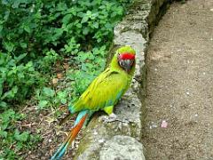 149 BIO PARC DE DOUE LA FONTAINE 4- 2016_000041